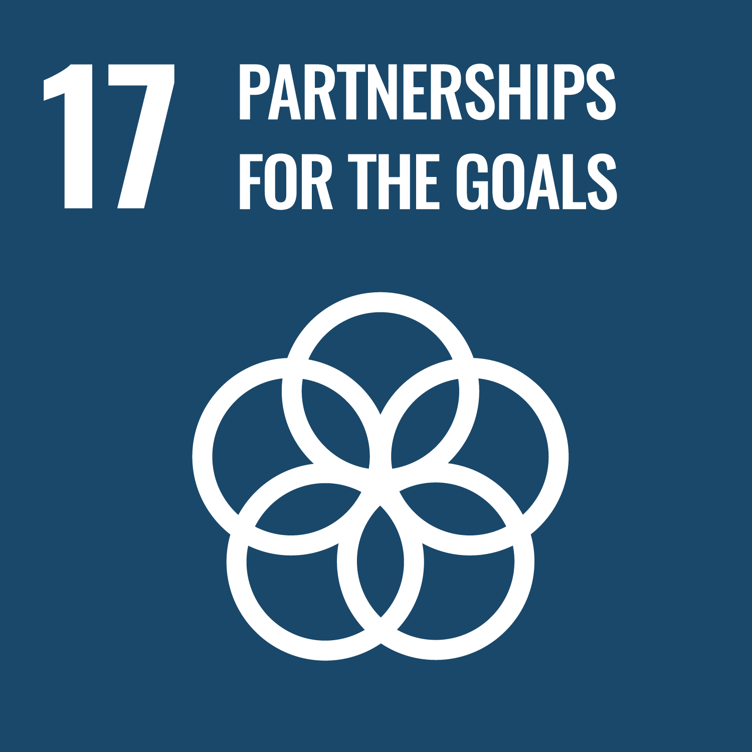 SDG Goal 17 – Partnerships for the Goals