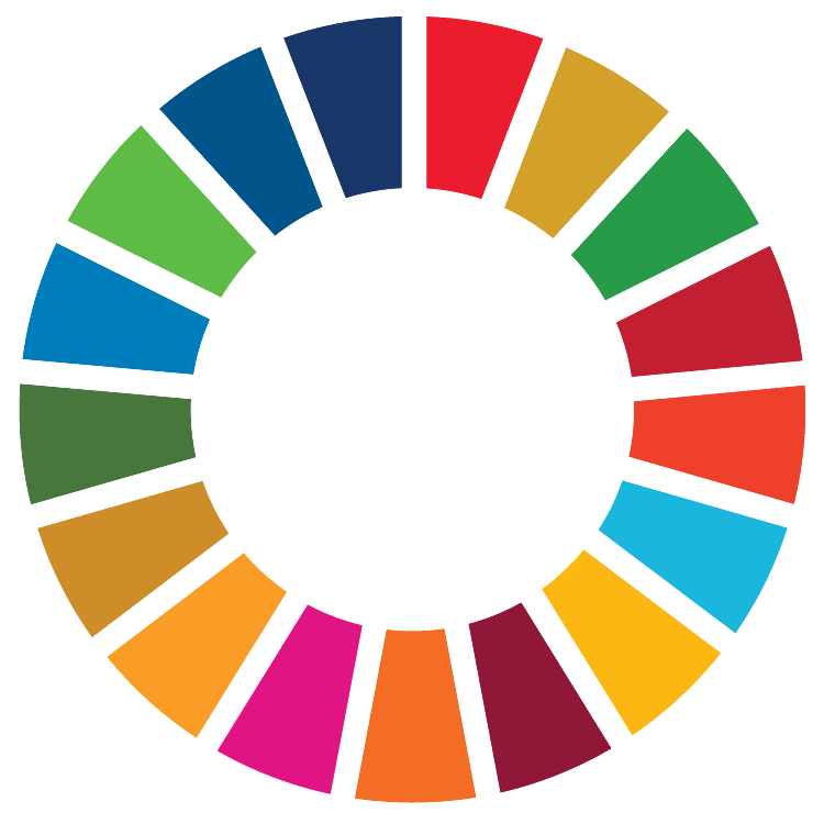UN Sustainable Development Goals colour wheel